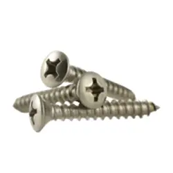 Phillips Oval Head SS Screw