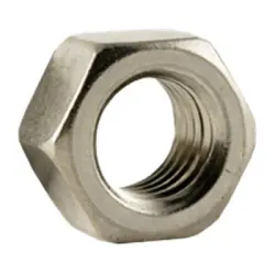 S.S.316 HEX NUT (763)