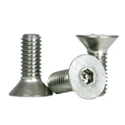 S.S.18-8 FLAT SOCKET CAP SCREW TAMPER RESISTANT (809)
