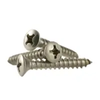 Phillips Oval Head SS Screw