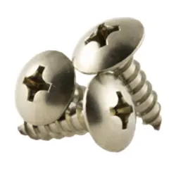 Phillips Truss Head SS Screw