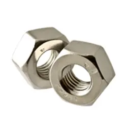S.S.18-8 HEAVY HEX NUT (769)