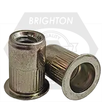 Steel Large Flange Knurled Body Rivet Nut Zinc Cr+3