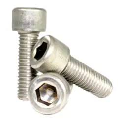 S.S.316 SOCKET CAP SCREW (014)