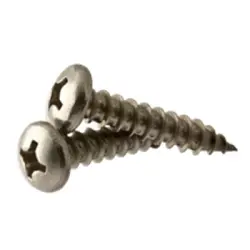 Phillips Pan Head SS Screw