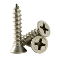 Type A Phillips Flat Head SS Screw