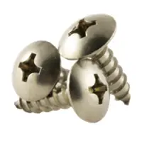 Phillips Truss Head SS Screw